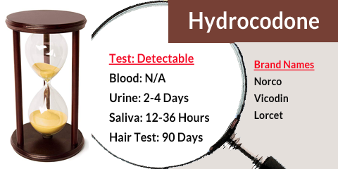hydrocodone drug screening chart blood urine saliva