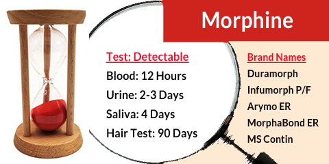 morphine time in blood urine saliva