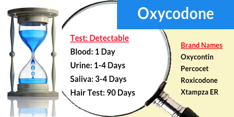 oxycodone drug screening chart