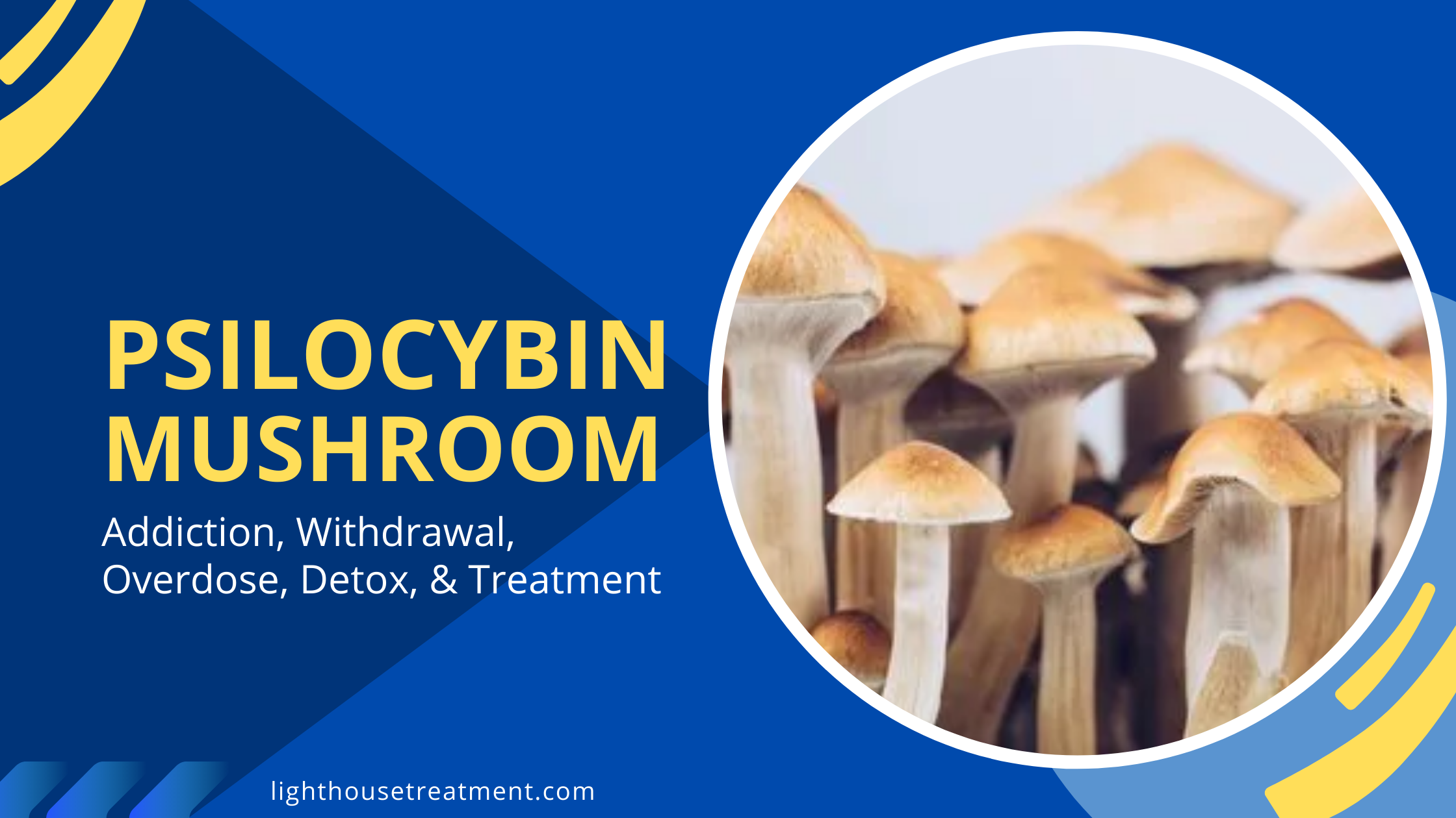 Psilocybin Mushrooms Side Effects